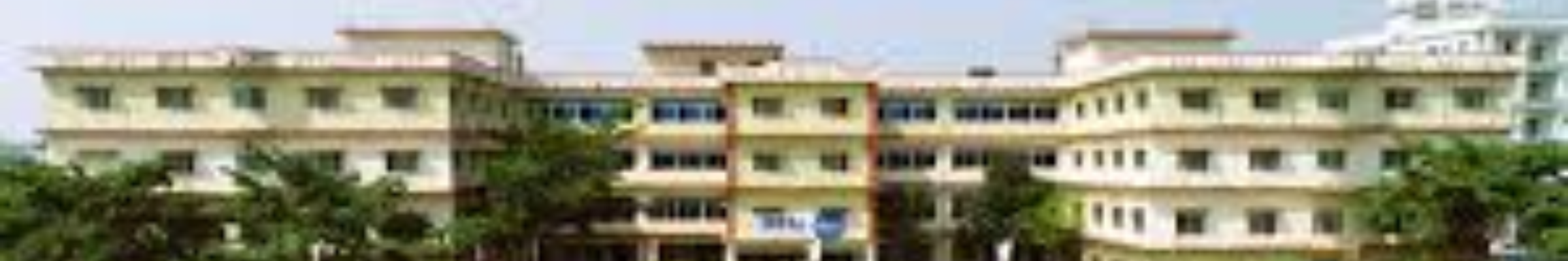 Ideal Institute of Technology, Vidyut Nagar