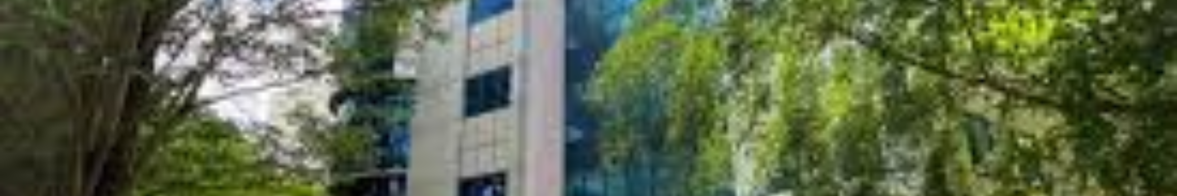 Polaris School of Technology