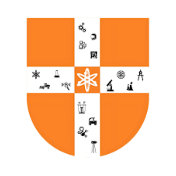 Rai Technology University logo