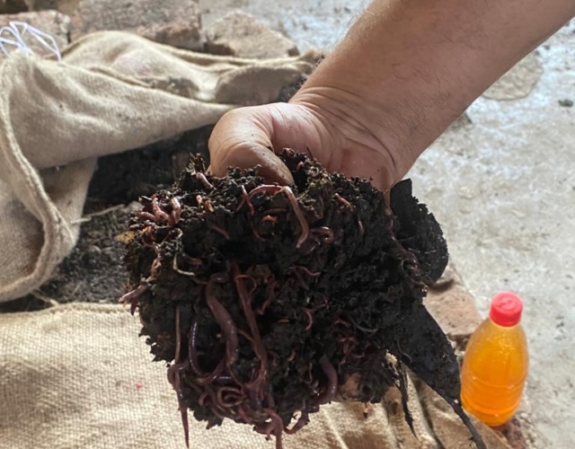 Government Polytechnic College_Activities