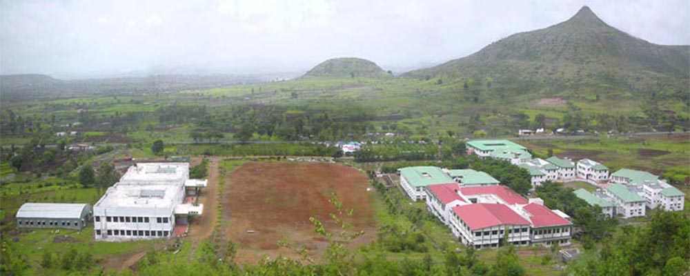 BVIM View