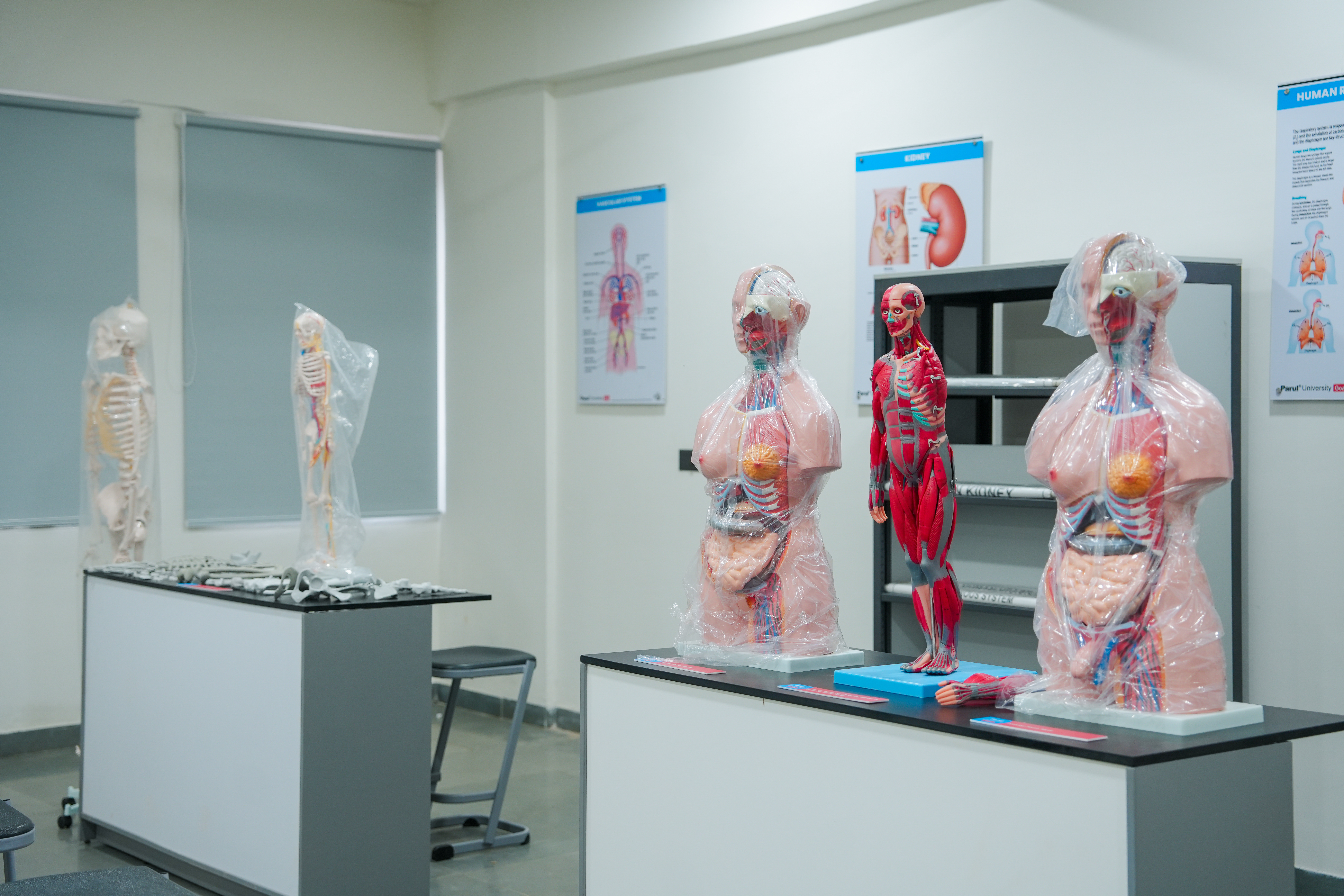 Preclinical Science Lab