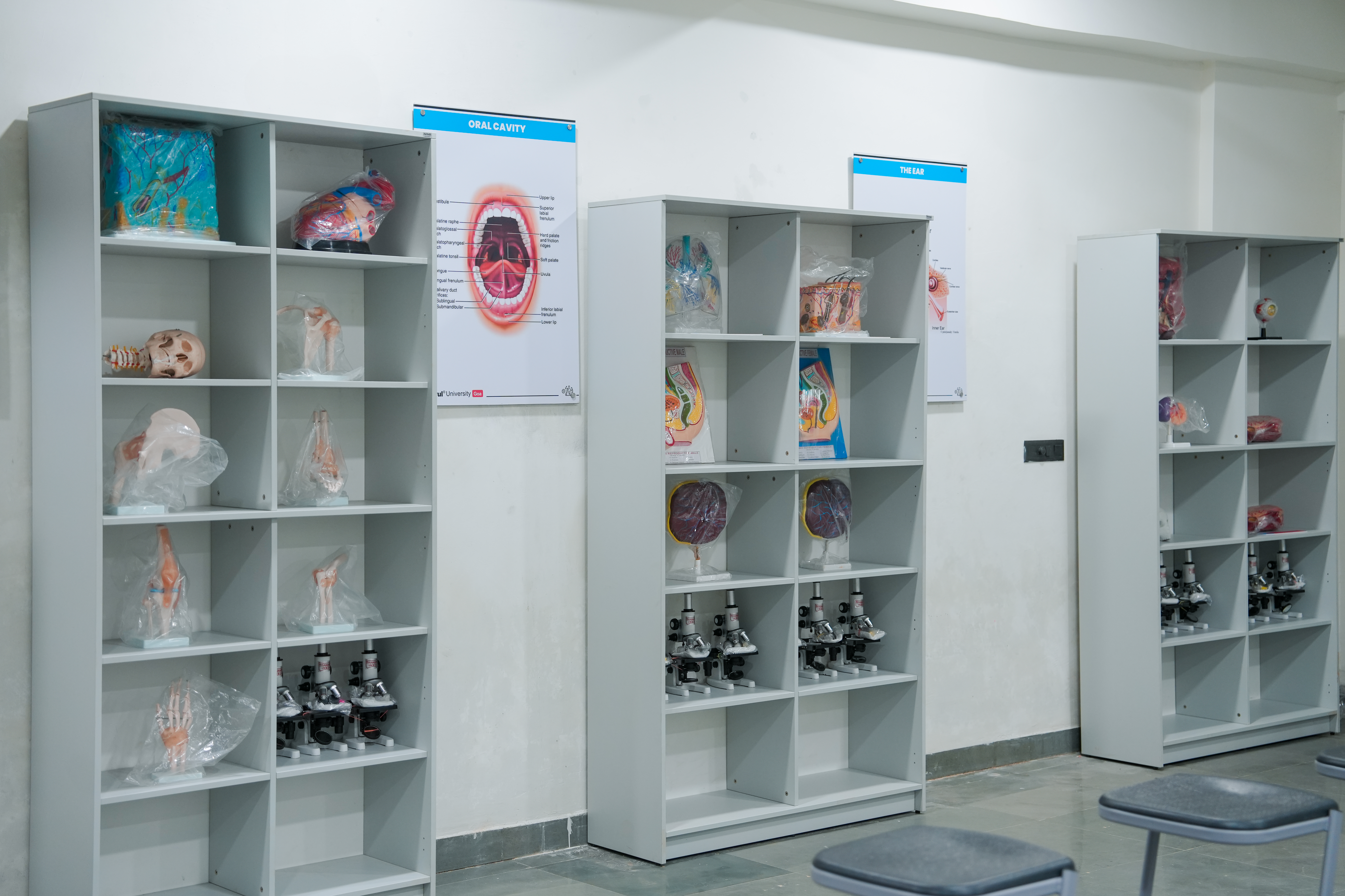 Preclinical Science Lab