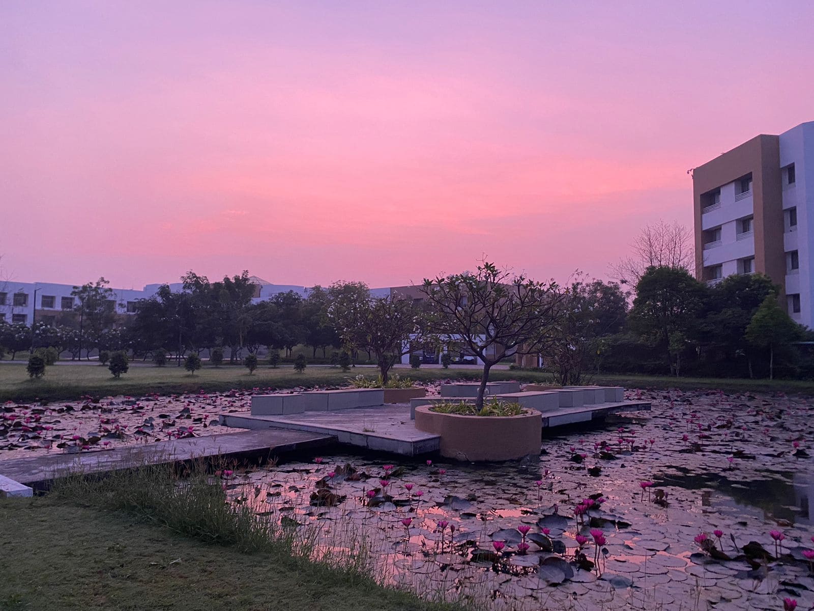 NMIMS Shirpur Gallery