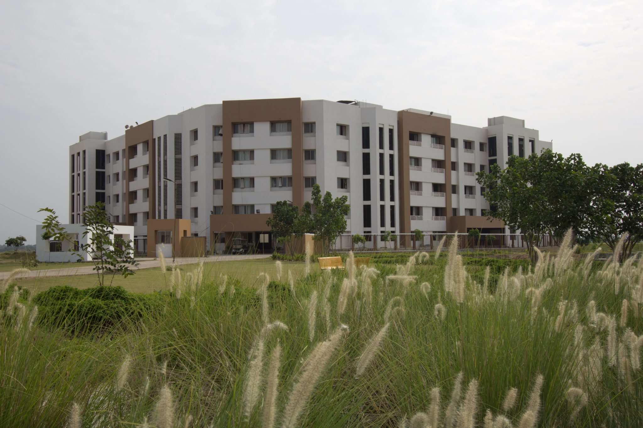 NMIMS Shirpur Gallery