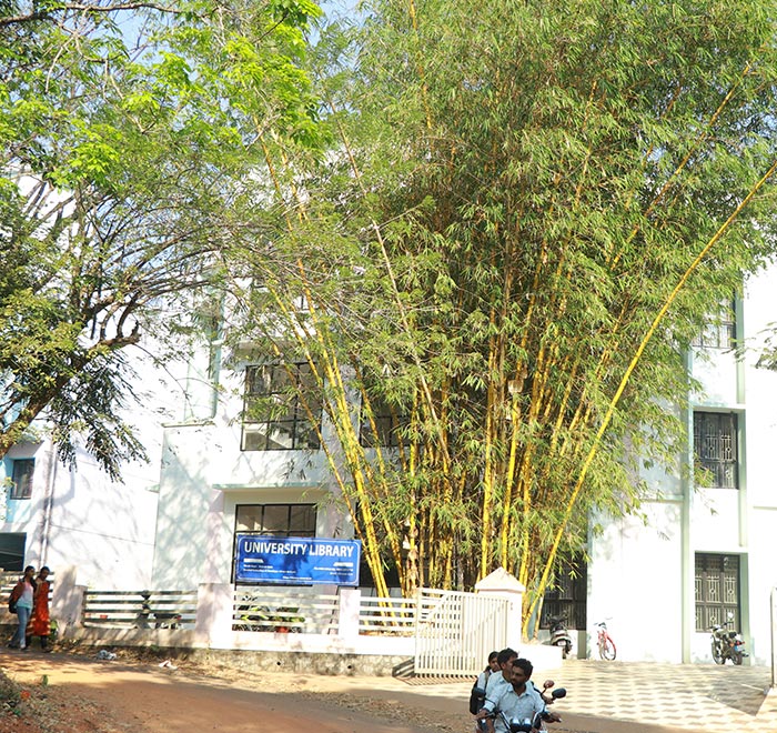School of Management Studies, CUSAT Gallery
