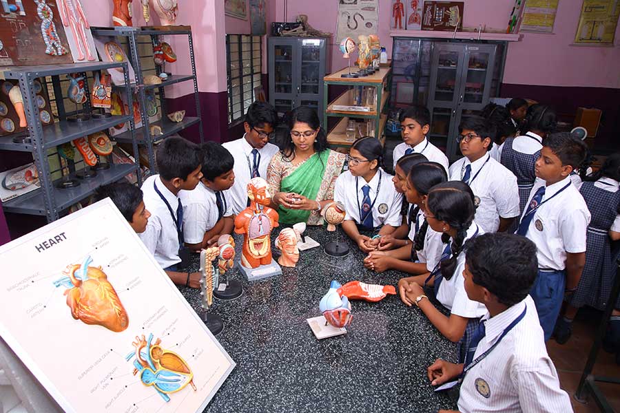 Sea Group of Institutions Gallery Image