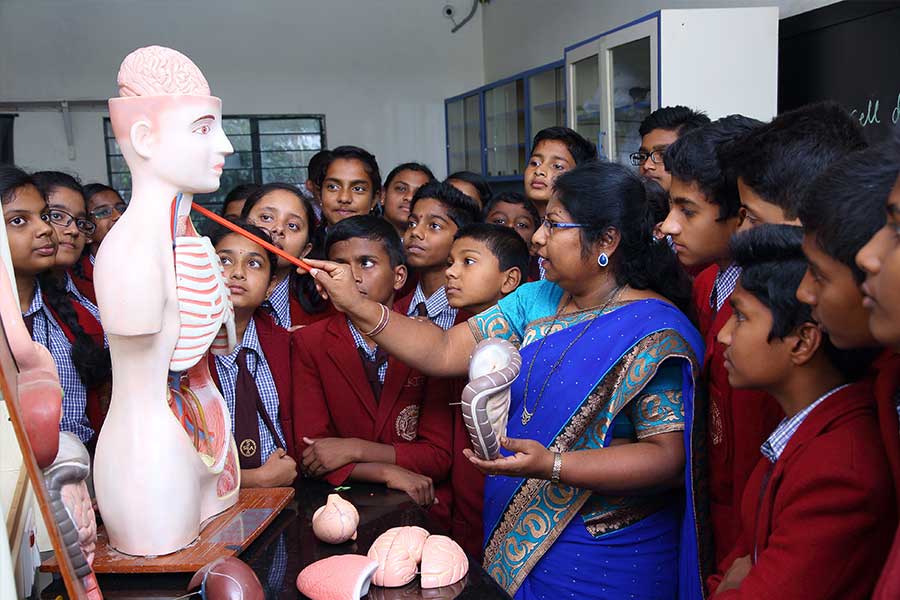 Sea Group of Institutions Gallery Image