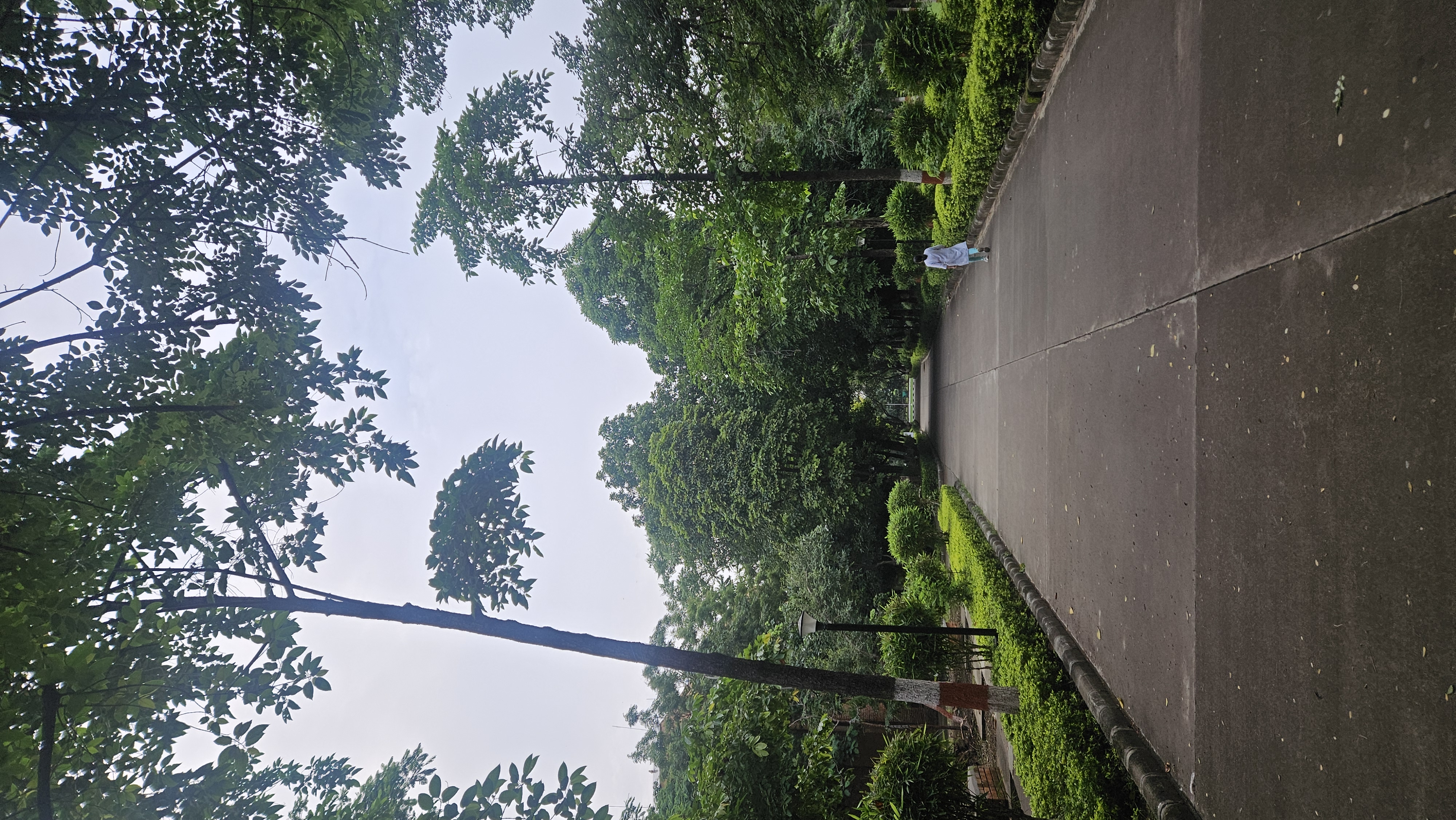 Album cover 2