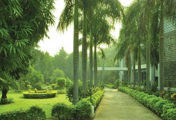 Campus Image