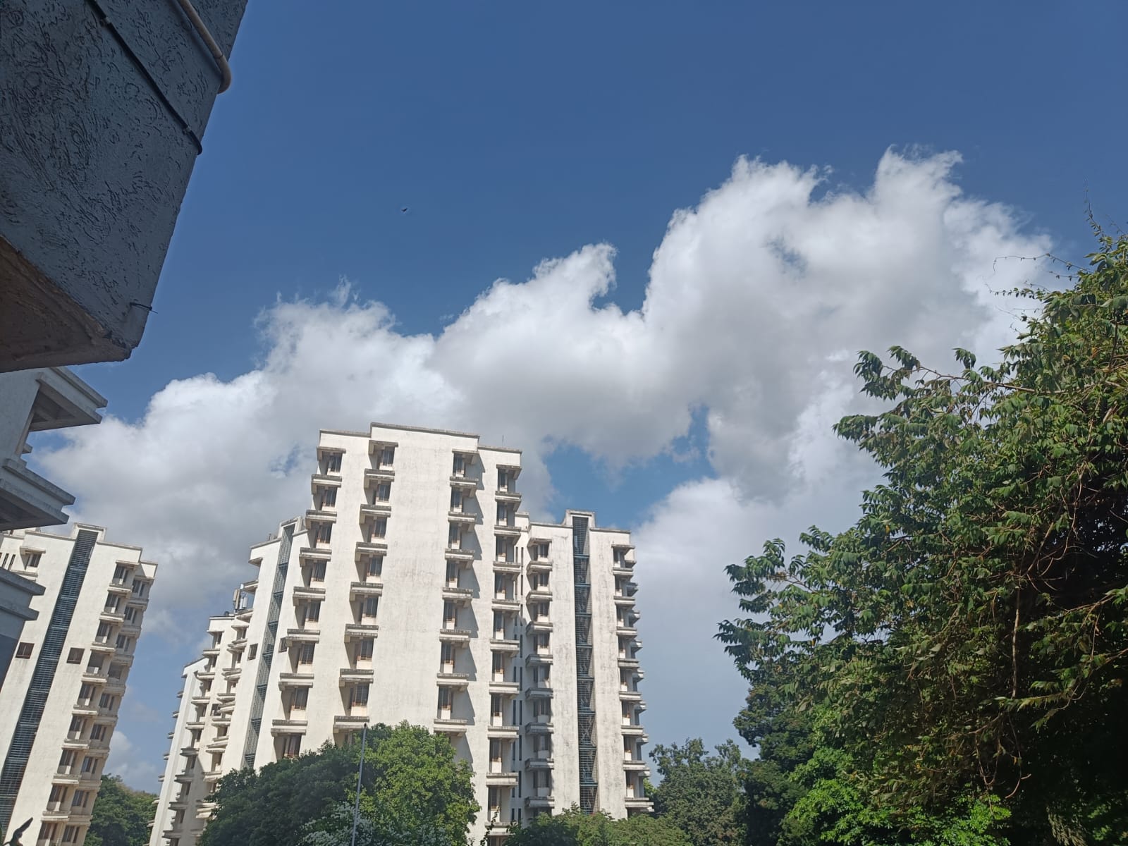 IIT Bombay Campus Building(3)