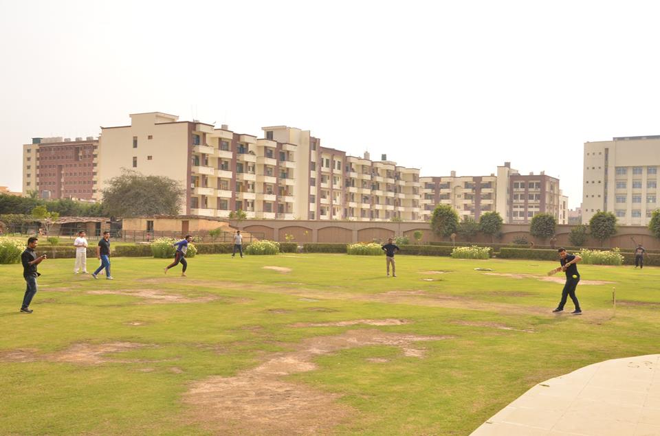 Accman Institute of Management Playground