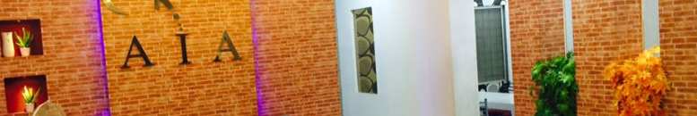 Aesthetic of Interiors Academy Others(1)