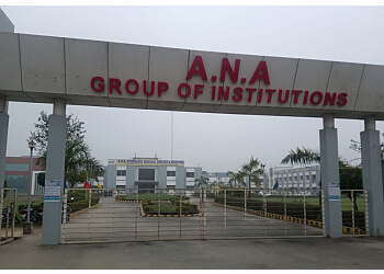 ANA Group of Institutions Others(2)