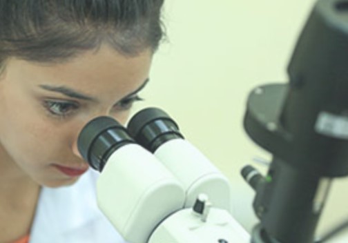 Anna College Others(12)