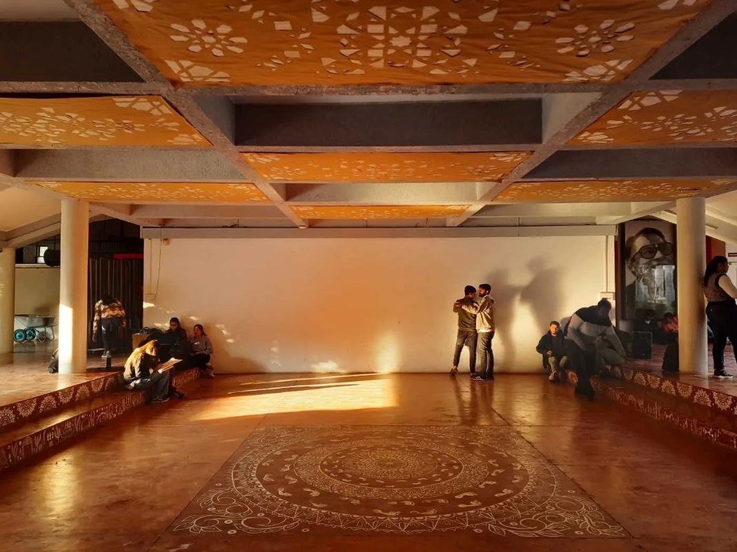 Arvindbhai Patel Institute of Environmental Design Campus View(1)