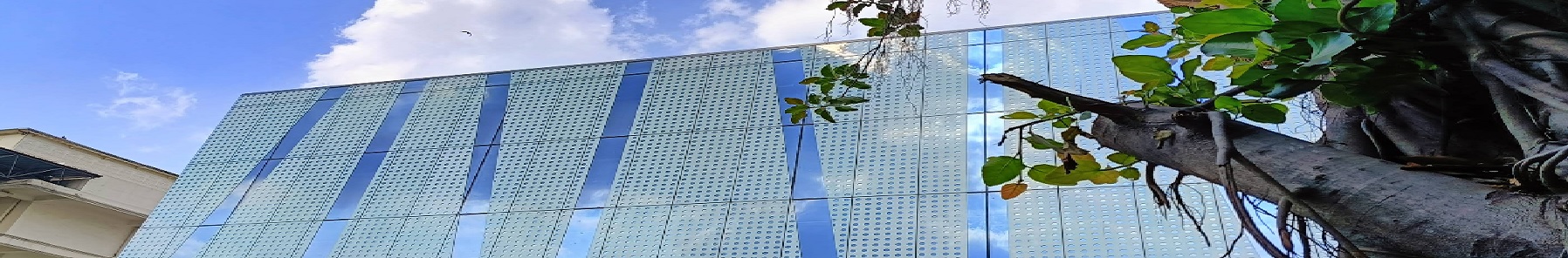 Avinash College of Commerce, Secunderabad Others(1)