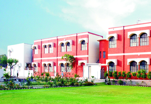B.D.S Institute of Management (BDISM Meerut) Others(1)