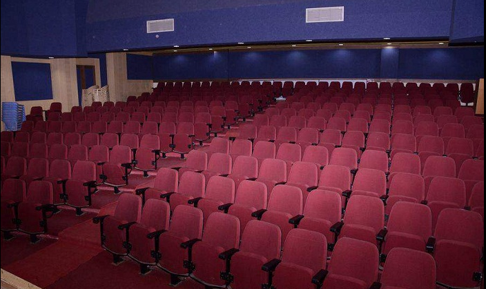 Bharati Vidyapeeth Auditorium(1)