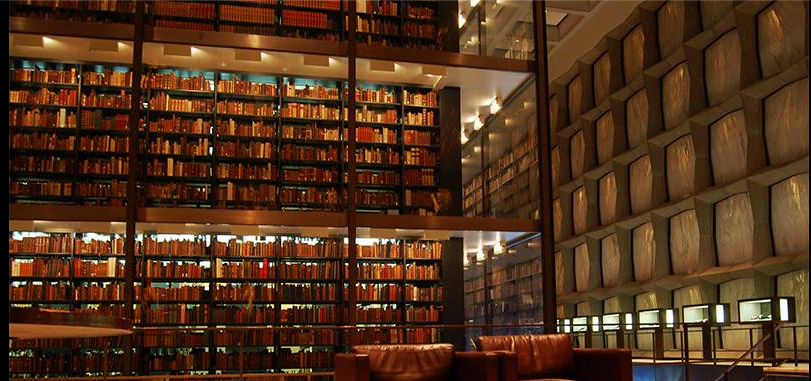 Bharati Vidyapeeth Library(2)
