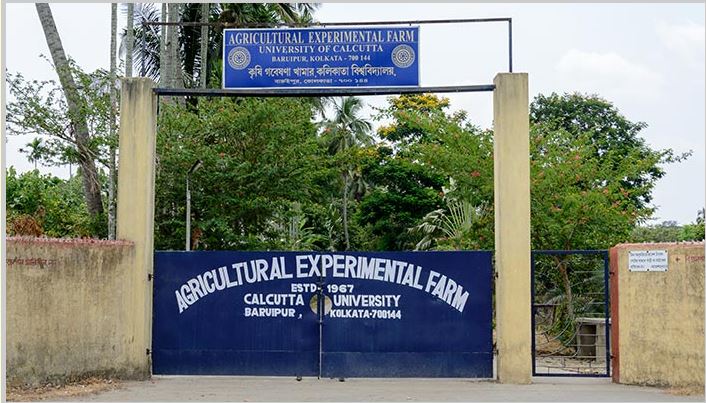 University of Calcutta Academic Block(2)