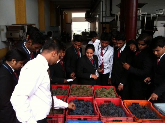 Camp Education Societys Dr. Arvind B. Telang Institute of Hotel Management Others(16)