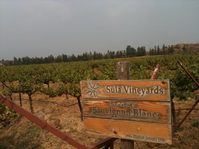 Camp Education Societys Dr. Arvind B. Telang Institute of Hotel Management Others(17)