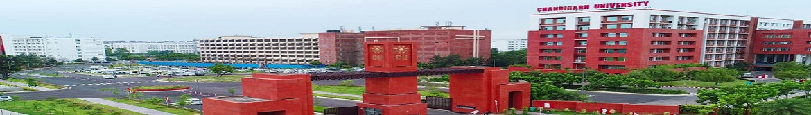 Chandigarh University Online Campus Building(1)
