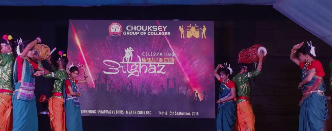 Chouksey Group of Colleges Others