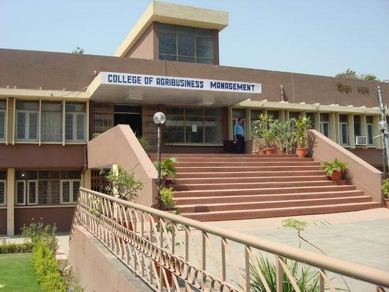 College of Agribusiness Management Others(1)