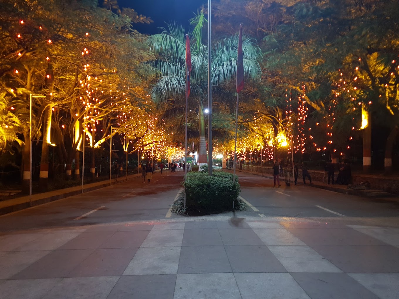 BVCOE Navi Mumbai Night View