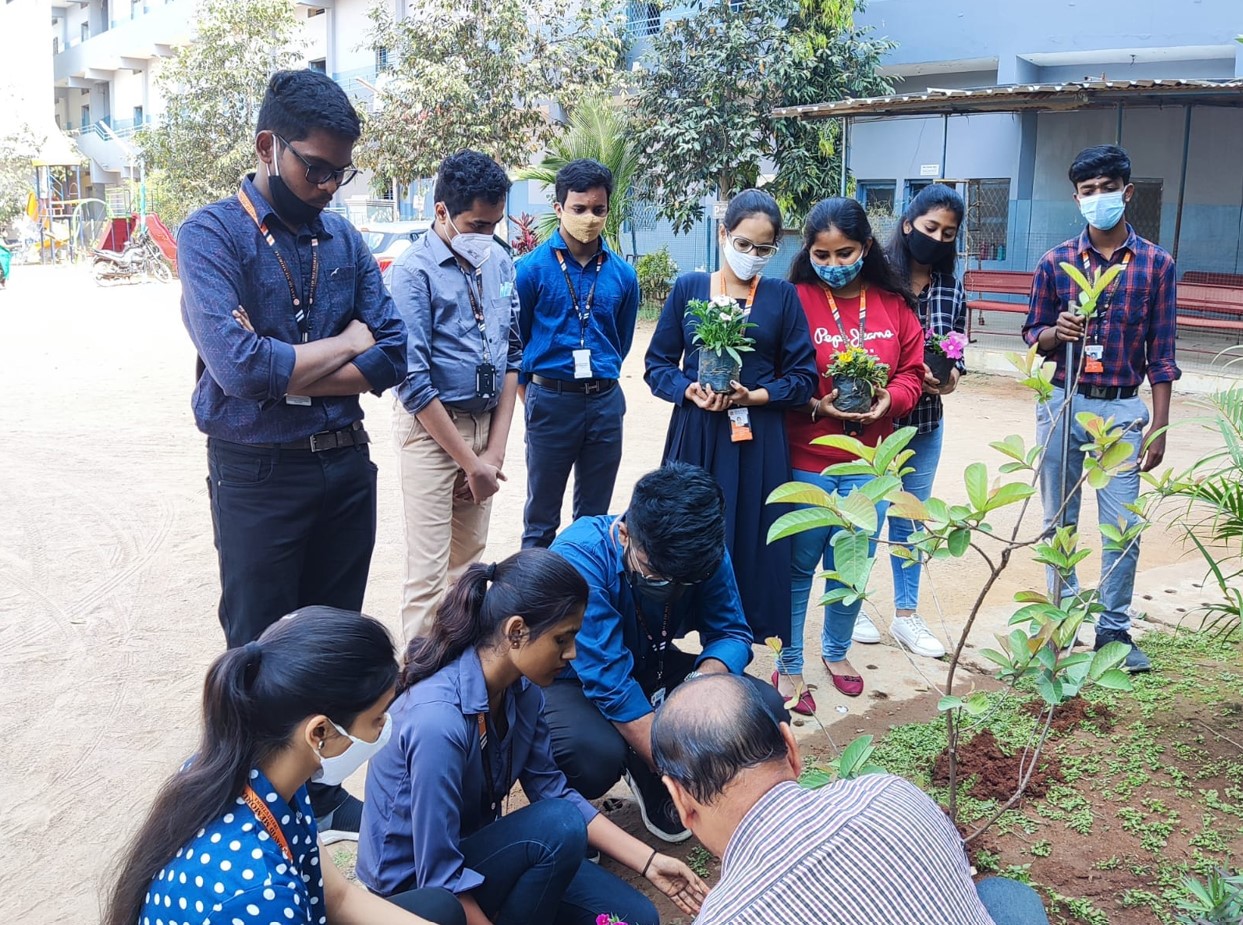 David Memorial Institutions Others(13)