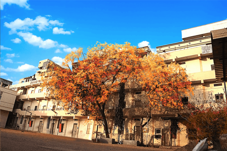 David Memorial Institutions Campus Building(1)