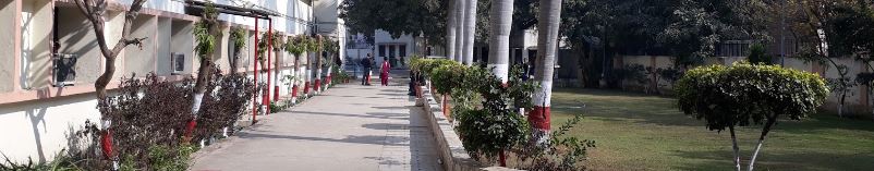 Delhi College of Arts and Commerce (DCAC) Campus Building(1)