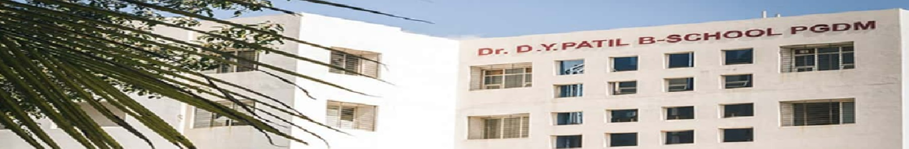 DY Patil B School Others(1)