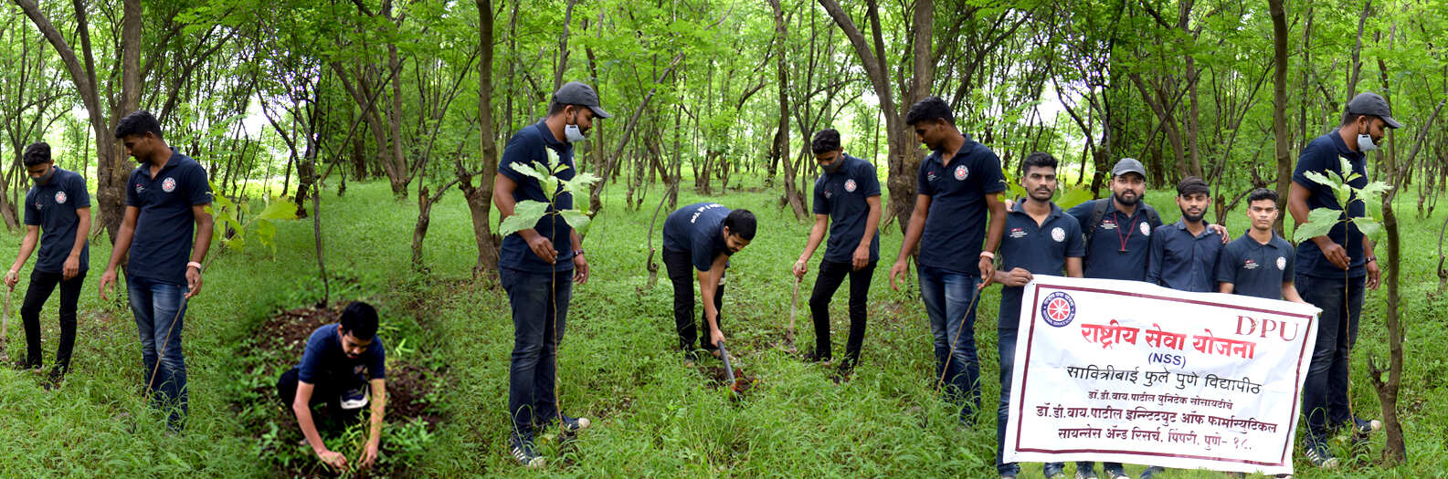 DR. D. Y. Patil Institute of Pharmaceutical Sciences and Research Others(3)