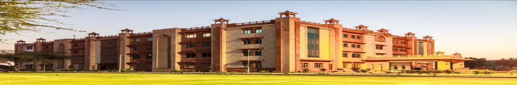Footwear Design and Development Institute, Jodhpur Others(1)