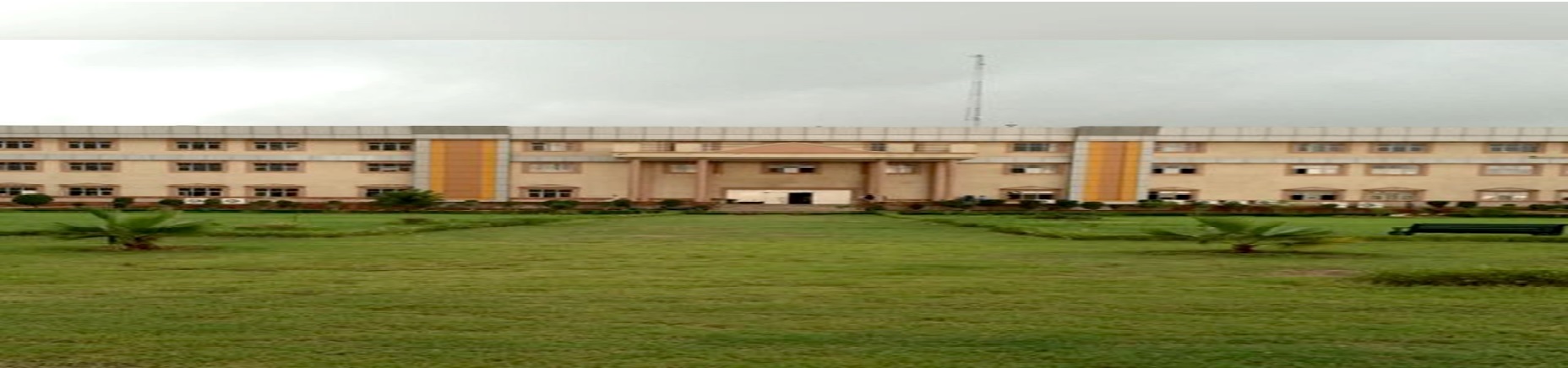 Footwear Design and Development Institute, Rohtak Others(1)