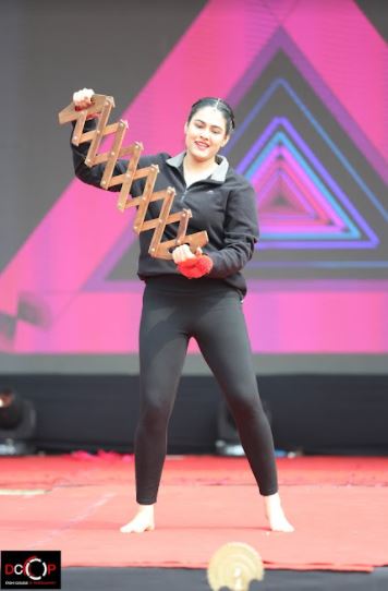 Gitarattan International Business School Fest(14)