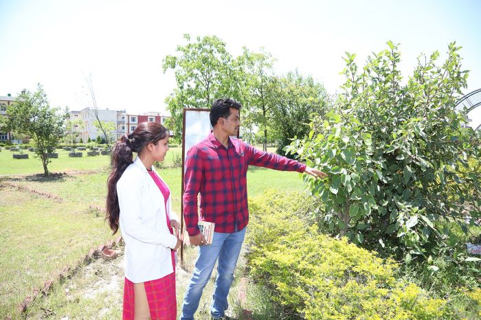 Himalayiya University Others