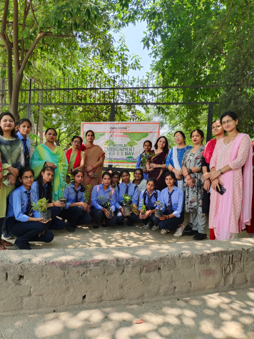 HLM Group of Institutions Others(13)