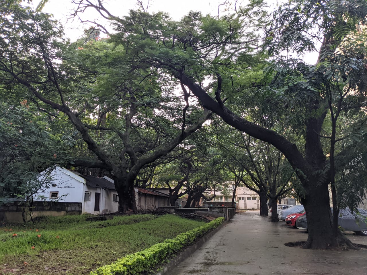 IIT Kharagpur Others(4)