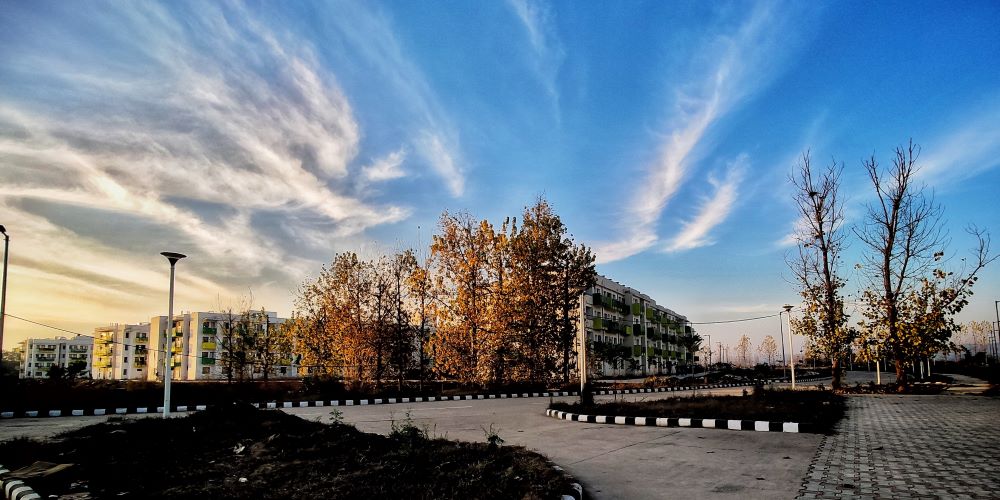 IIT Ropar Campus View(2)