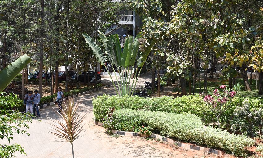 IIMS Campus View(2)