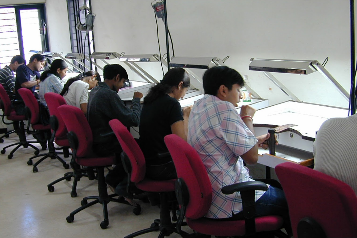 Indian Diamond Institute Labs(2)