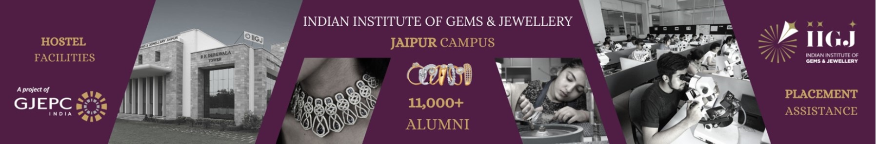Indian Institute of Gems and Jewellery, Jaipur Others(1)