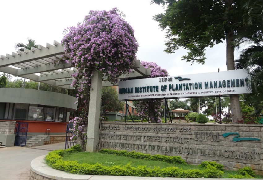 IIPM Bengaluru Entrance