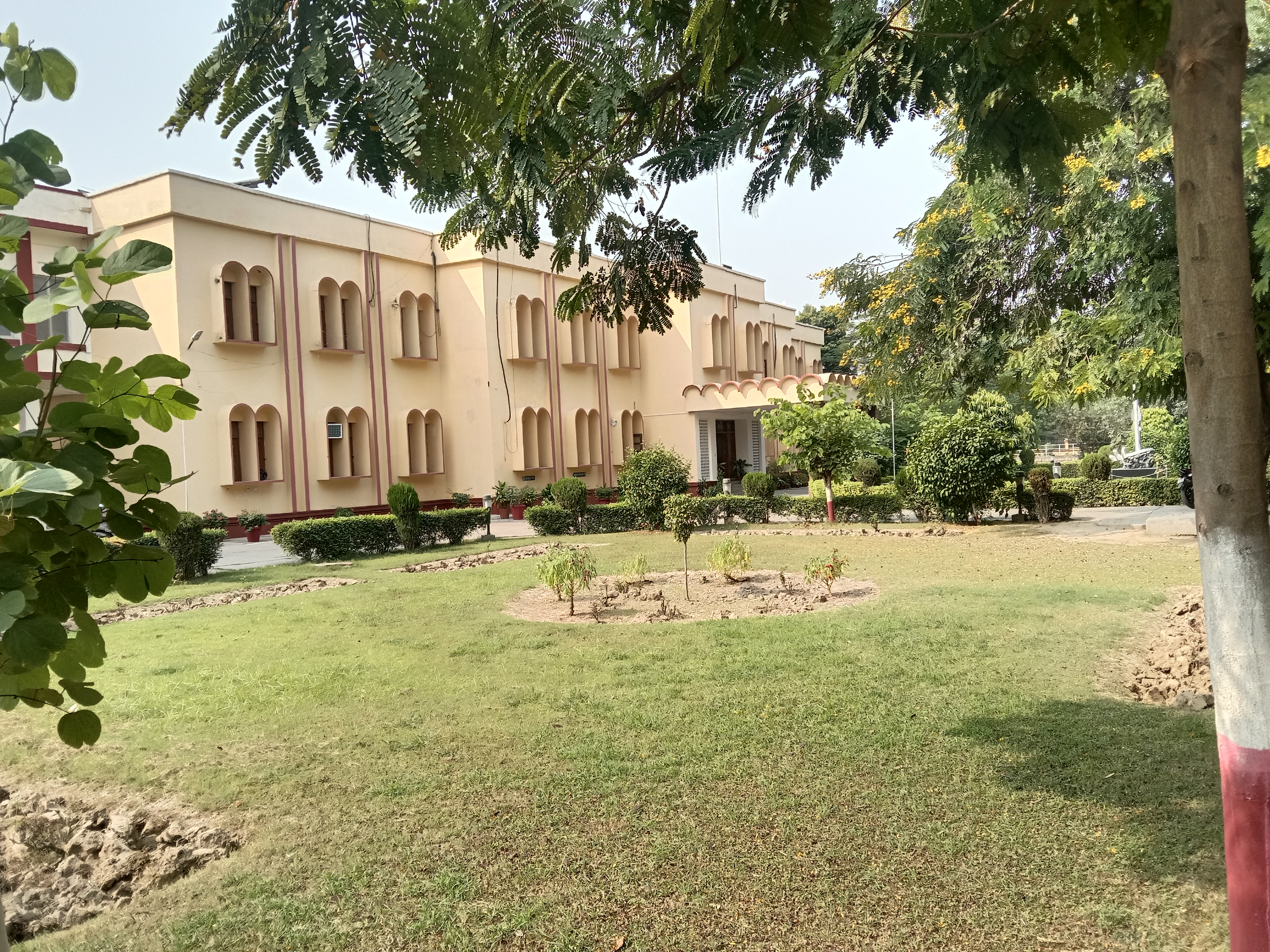 IIT BHU Others(3)