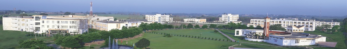 IGC Others(1)