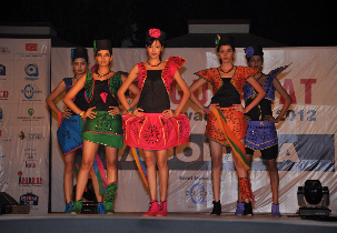 Inter National Institute of Fashion Design, Baroda Others(7)